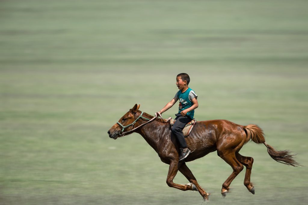 boy, horse riding, galloping-7143682.jpg